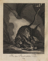 KG 01074
          <br/>
          Entwurf einiger Thiere. Zweyter Theil. (20 bladen)
          <br/>
          <em>Ridinger, Johann Elias (1698-1767)</em>
